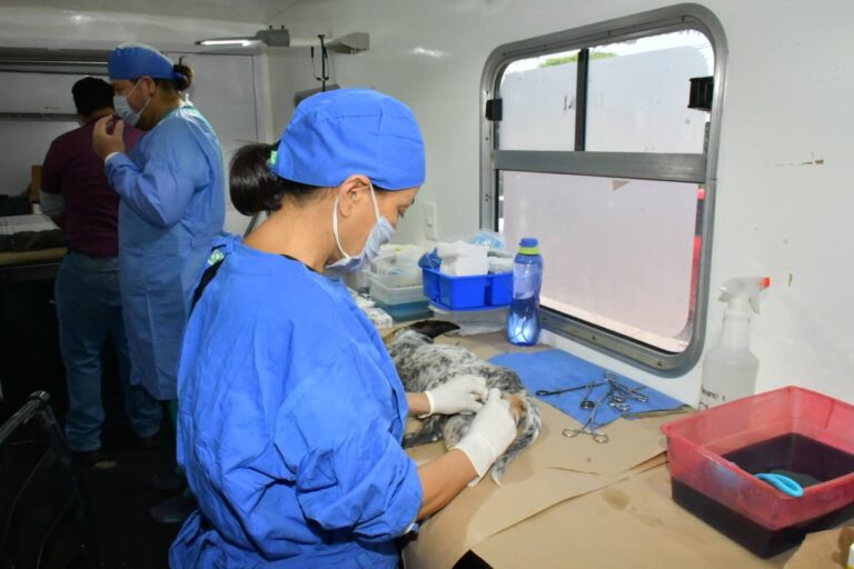 WhatsApp Image 2025-10-19 at 4.11.36 PM