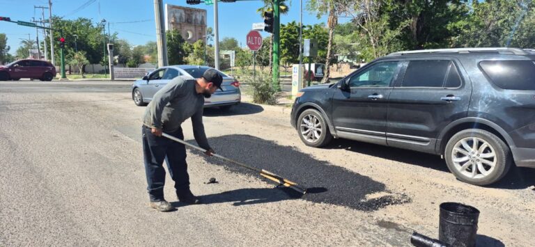 WhatsApp Image 2025-10-28 at 3.52.04 PM