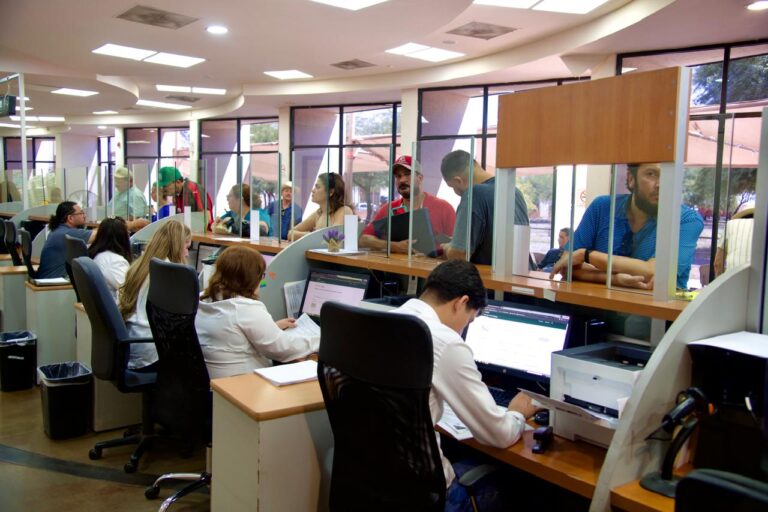 WhatsApp Image 2025-11-12 at 12.05.08 PM