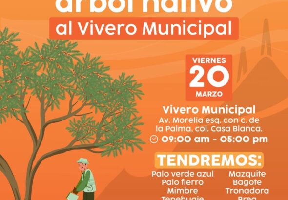 WhatsApp Image 2026-03-19 at 2.51.39 PM