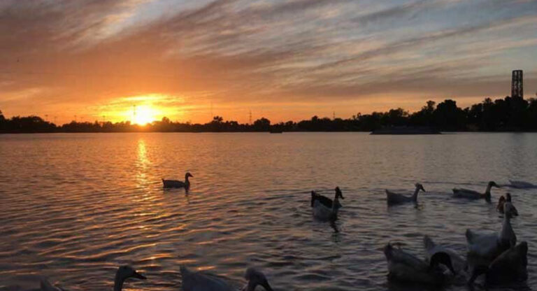 Conagua alerta por calor extremo y tolvaneras en Sonora este 16 de mayo de 2026