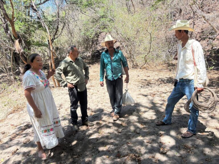 Ocho personas permanecen incomunicadas en la Sierra de Álamos; familias reportan falta de apoyo Ocho personas permanecen incomunicadas en la Sierra de Álamos; familias reportan falta de apoyo