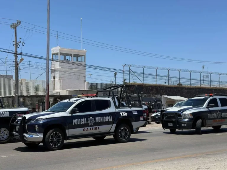 Cajeme registra 20 homicidios en mayo, incluyendo a una mujer y un menor