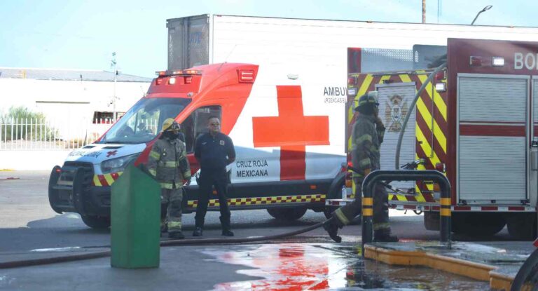 Tres personas resultan heridas tras ataque de abejas en gasolinera del poniente de Hermosillo