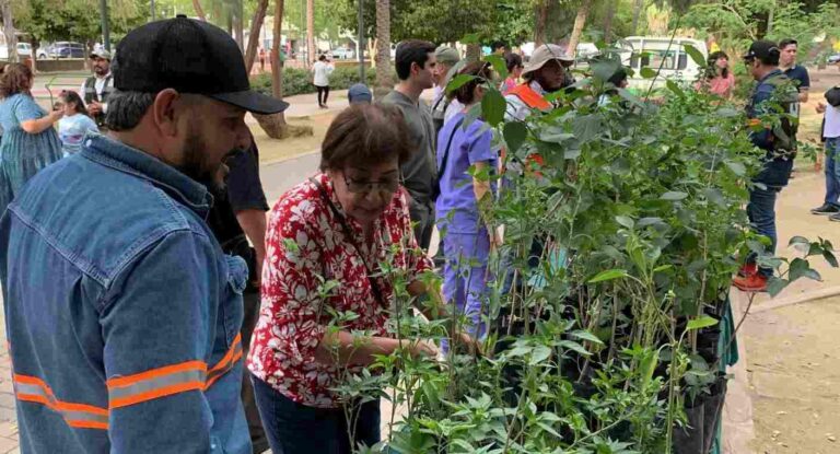Vivero Municipal entregará árboles nativos este sábado en Hermosillo