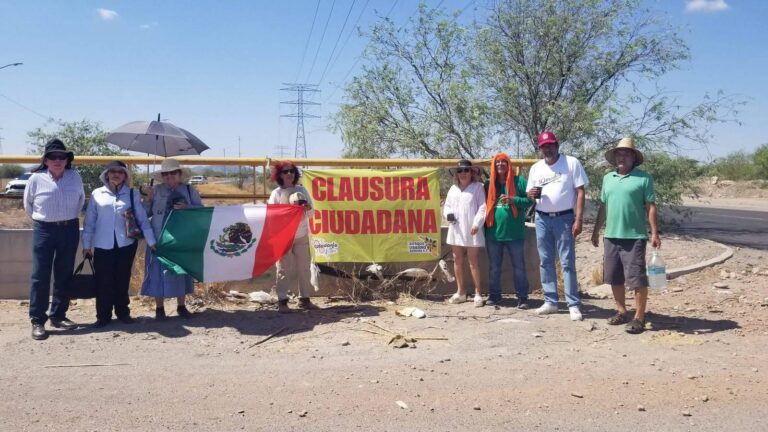 Riesgo para 100 árboles en Hermosillo por tala inminente