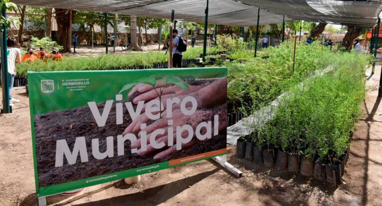 Vivero Municipal lanza programa para capacitar en siembra y cuidado de árboles nativos en Hermosillo