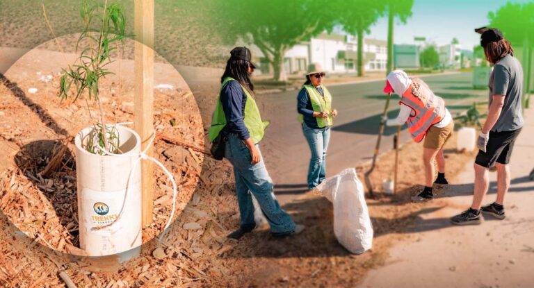 Caminantes del Desierto capacitarán a ciudadanos y escuelas para reforestar Hermosillo