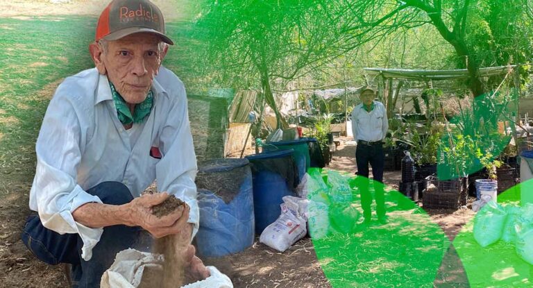 Ingeniero de Hermosillo desarrolla lombricomposta para cultivo sostenible y reforestación sin químicos