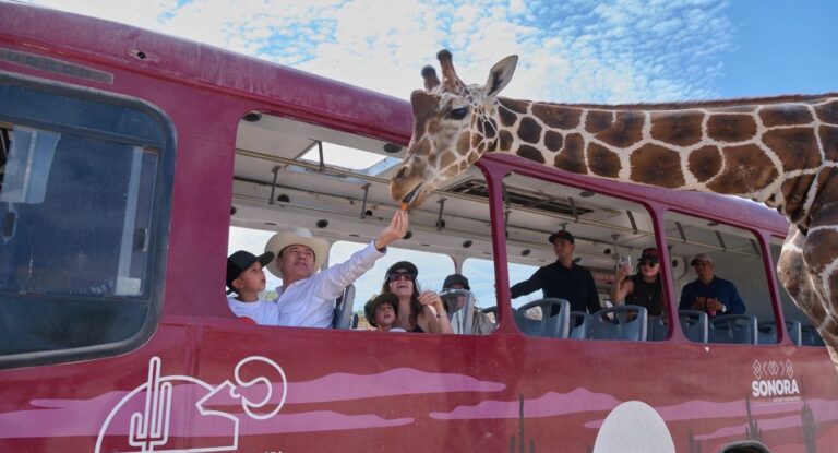 Gobernador Durazo visita al capibara más conocido de Sonora en el Centro Ecológico Gobernador Durazo visita al capibara más conocido de Sonora en el Centro Ecológico