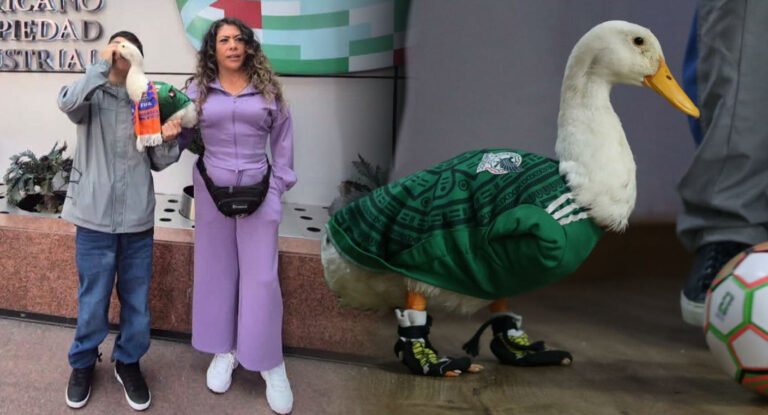 IMPI confirma que la marca del Pato Merlín pertenece a la familia de la mascota IMPI confirma que la marca del Pato Merlín pertenece a la familia de la mascota