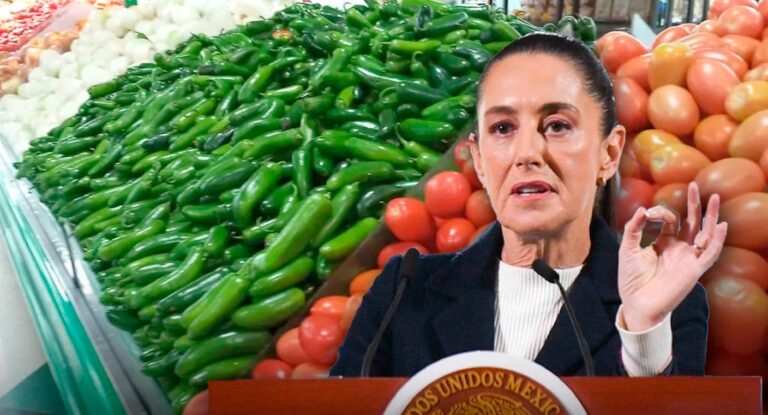 Sheinbaum admite que no ha logrado reducir precios del jitomate, papa y chile serrano