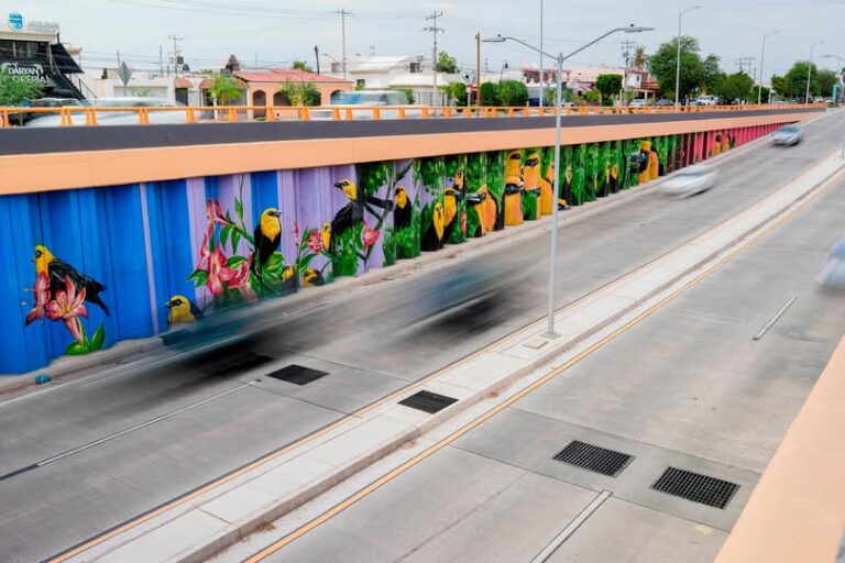 Nuevo mural urbano embellece paso a desnivel en Hermosillo Nuevo mural urbano embellece paso a desnivel en Hermosillo