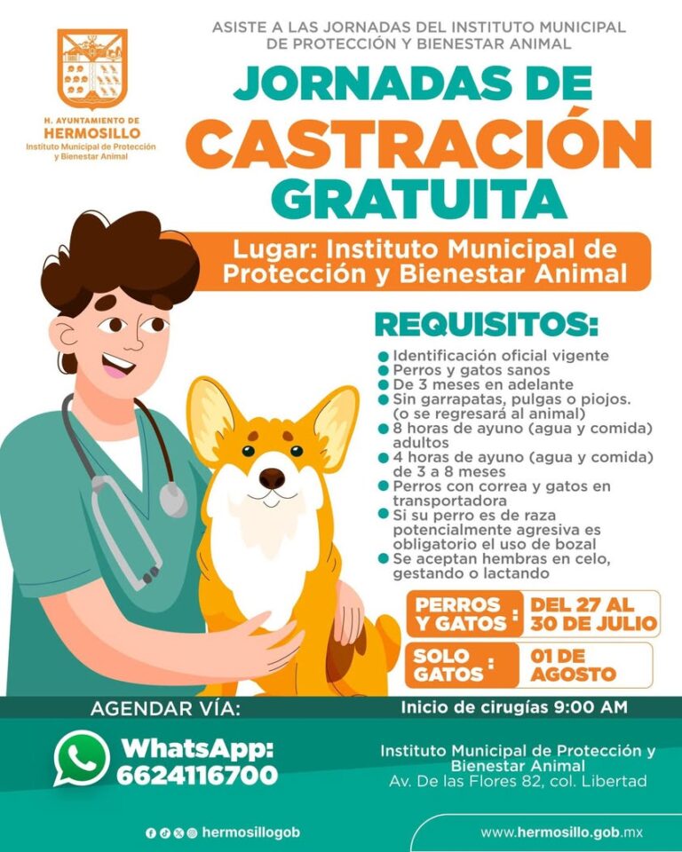 Gobierno de Hermosillo lanza jornadas gratuitas de castración canina y gatuna