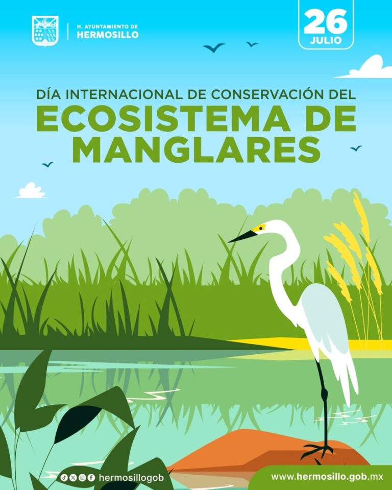 Hermosillo conmemora el Día Internacional de Conservación de Manglares