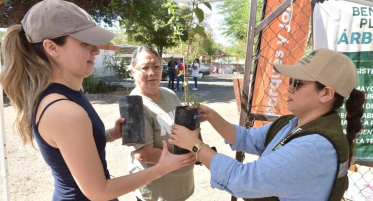 Cómo obtener un árbol nativo en Hermosillo para contribuir al medio ambiente