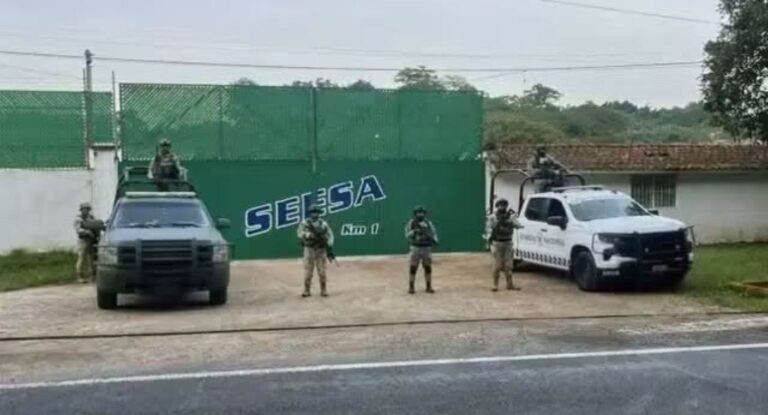 Gobierno asegura centro ilegal de almacenamiento de hidrocarburos en Coatepec, Veracruz