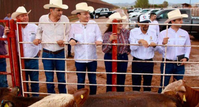 Reapertura de frontera con EU confirma sanidad ganadera en Sonora, señala Celida López