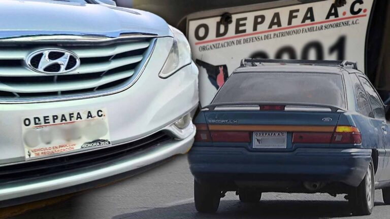 Invitan a propietarios de autos ‘pafas’ en Sonora a portar documentación para evitar decomisos Invitan a propietarios de autos 'pafas' en Sonora a portar documentación para evitar decomisos