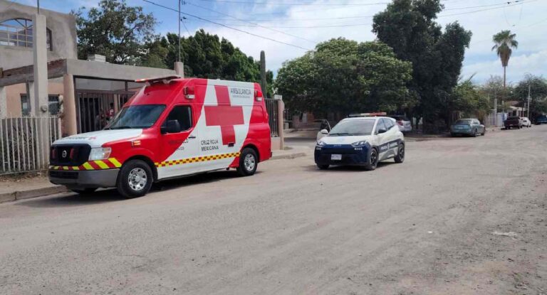 Dos personas resultan heridas tras ataque de abejas en el oriente de Hermosillo