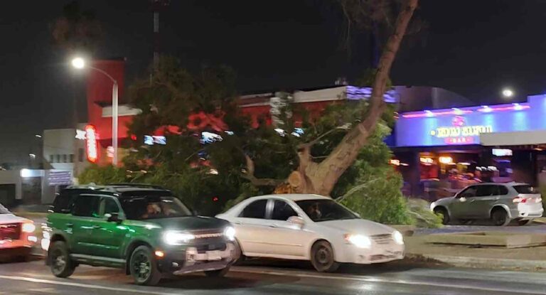 Vientos fuertes derriban anuncio luminoso en el sur de Hermosillo y ponen en riesgo a peatones Vientos fuertes derriban anuncio luminoso en el sur de Hermosillo y ponen en riesgo a peatones
