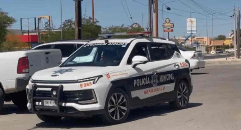 Policía de Tránsito rescata a perro que cayó a canal pluvial en Hermosillo