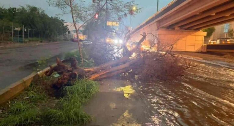 Lluvias provocan 73 incidentes en Hermosillo; Ures con mayor acumulación en Sonora