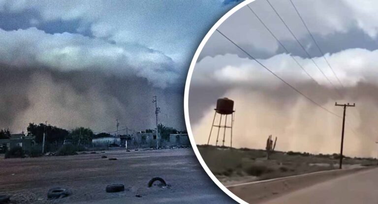 Tormenta de arena y lluvia intensa afectan Hermosillo y la costa de Sonora Tormenta de arena y lluvia intensa afectan Hermosillo y la costa de Sonora