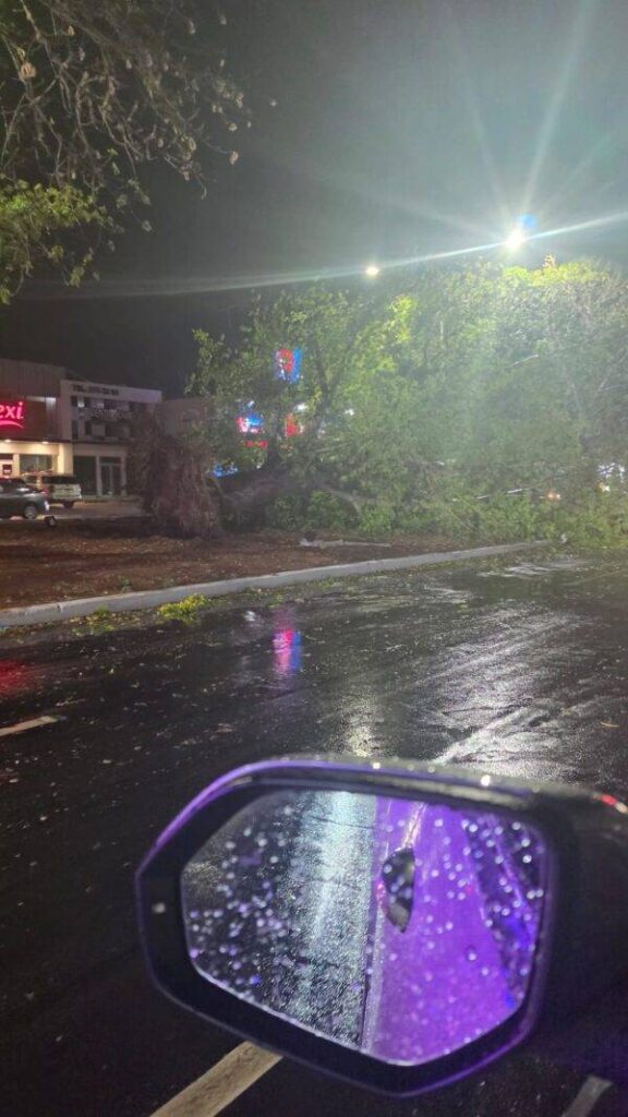 Tormenta revela la vulnerabilidad de Hermosillo ante vientos fuertes
