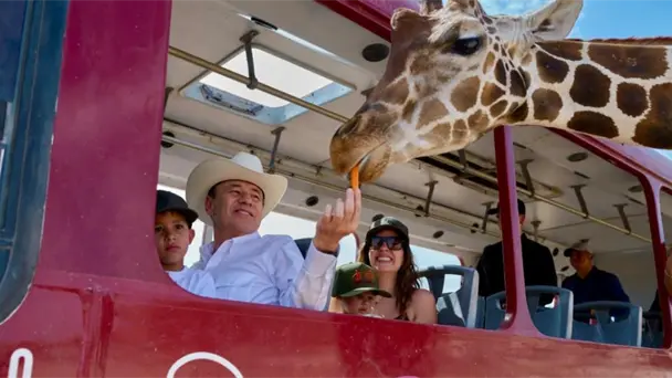 Centro Ecológico de Sonora reporta 73 nacimientos de fauna en 2026 Centro Ecológico de Sonora reporta 73 nacimientos de fauna en 2026