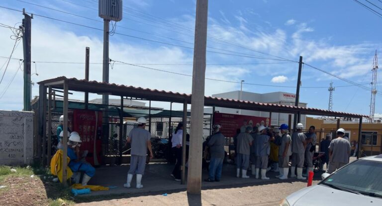 Fuga de amoniaco en parque industrial de Ciudad Obregón afecta a 18 trabajadores y detiene planta Fuga de amoniaco en parque industrial de Ciudad Obregón afecta a 18 trabajadores y detiene planta