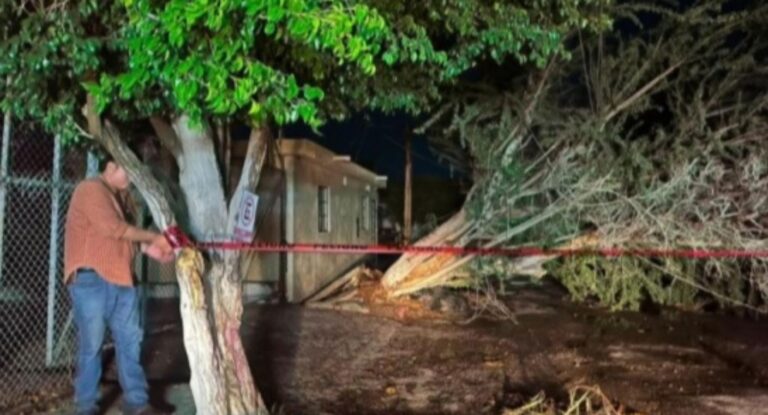 Atienden caída de árboles, postes y desaparición de hombre tras lluvias en Hermosillo