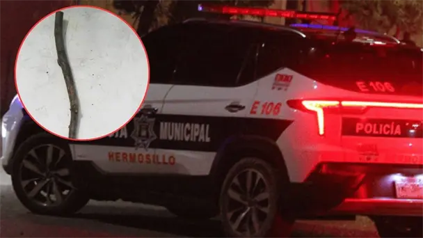 Detienen a joven tras agredir a adulta mayor en Hermosillo Detienen a joven tras agredir a adulta mayor en Hermosillo