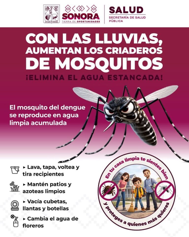 Gobierno de Hermosillo recomienda prevenir el dengue en temporada de lluvias