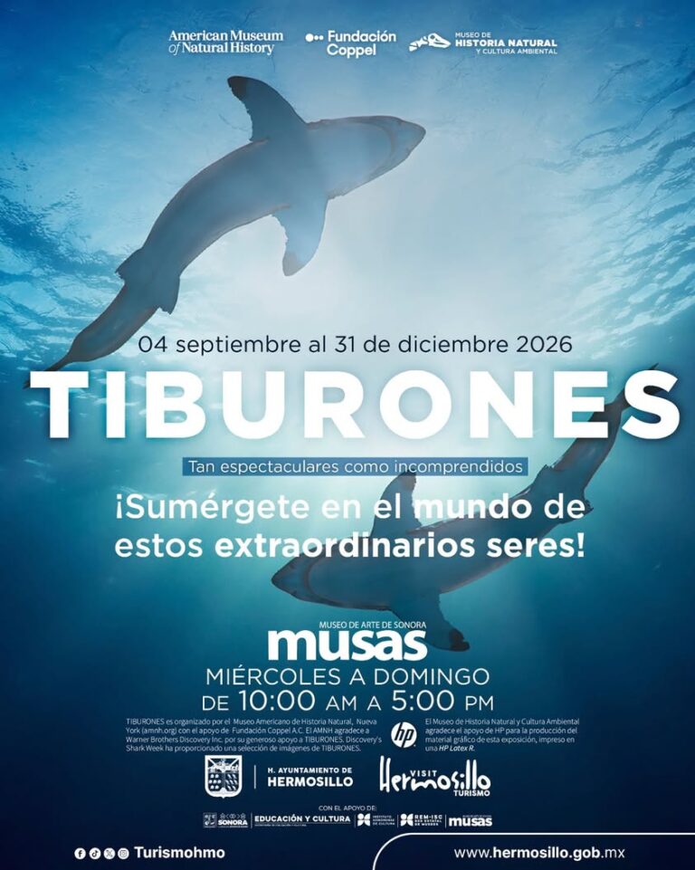 Exposición TIBURONES llega a MUSAS en Hermosillo del 4 de septiembre Exposición TIBURONES llega a MUSAS en Hermosillo del 4 de septiembre