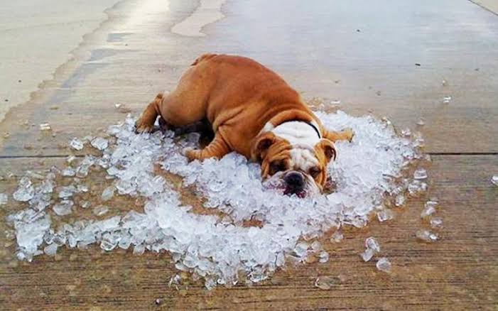 Sonora enfrenta calor de hasta 40°C y tormentas aisladas este martes Sonora enfrenta calor de hasta 40°C y tormentas aisladas este martes