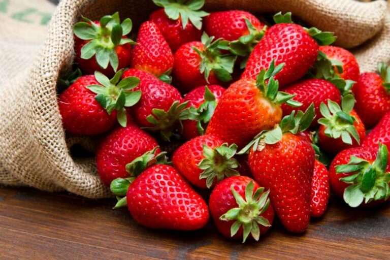 Estados Unidos impone cuotas preliminares a fresas mexicanas por presunto dumping Estados Unidos impone cuotas preliminares a fresas mexicanas por presunto dumping