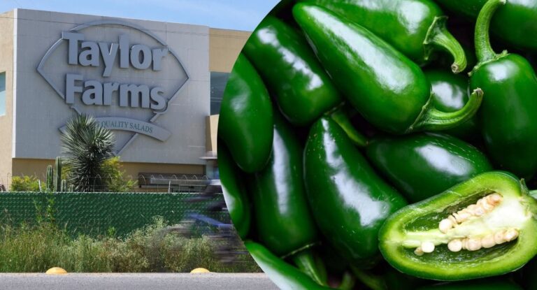 Taylor Farms retira jalapeños mexicanos en EE.UU. por brote de salmonela
