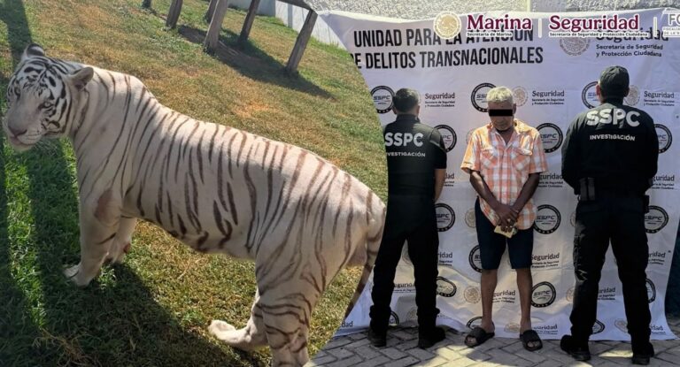 Cateo en Tamaulipas rescata 130 mil animales exóticos y asegura 68 mil litros de diésel Cateo en Tamaulipas rescata 130 mil animales exóticos y asegura 68 mil litros de diésel