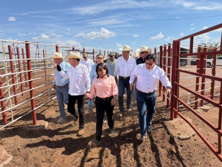 Sonora reabre frontera de Agua Prieta para exportación de ganado a EU Sonora reabre frontera de Agua Prieta para exportación de ganado a EU