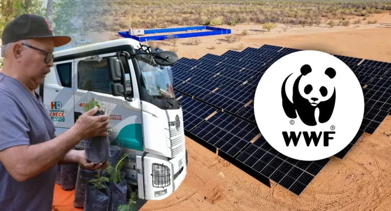 Hermosillo gana Desafío de Ciudades de WWF por acción climática 2025-2026