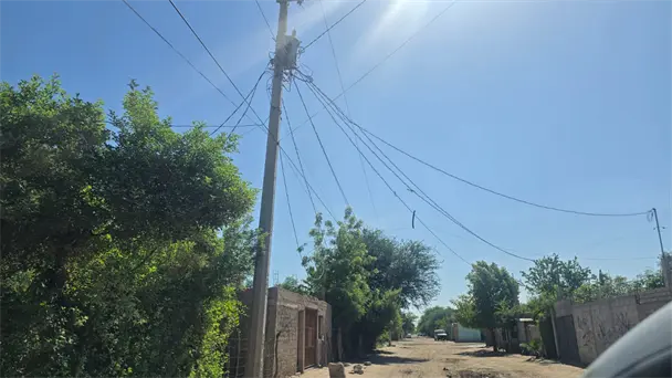 Apagones en Miguel Alemán por árboles en contacto con líneas eléctricas Apagones en Miguel Alemán por árboles en contacto con líneas eléctricas