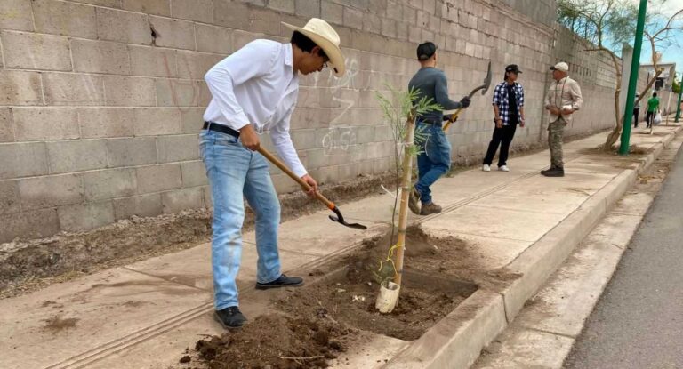 Jornada de plantación de árboles en Hermosillo suma 24 nuevos ejemplares Jornada de plantación de árboles en Hermosillo suma 24 nuevos ejemplares