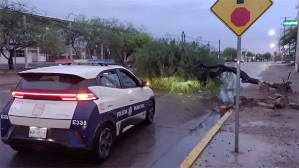 Gobierno de Hermosillo atiende emergencias tras lluvias y vientos fuertes Gobierno de Hermosillo atiende emergencias tras lluvias y vientos fuertes