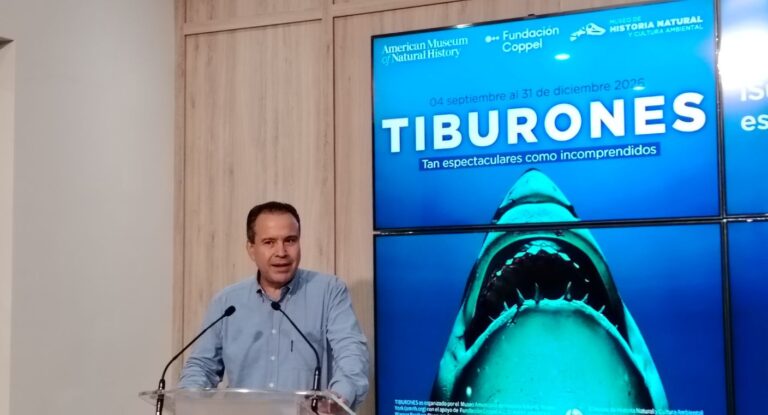 Exposición Tiburones llega a MUSAS Hermosillo en septiembre 2026