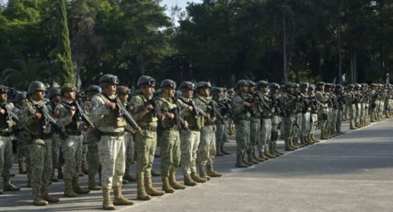 Gobierno federal despliega operativo con 9,500 elementos para proteger el aguacate en Michoacán