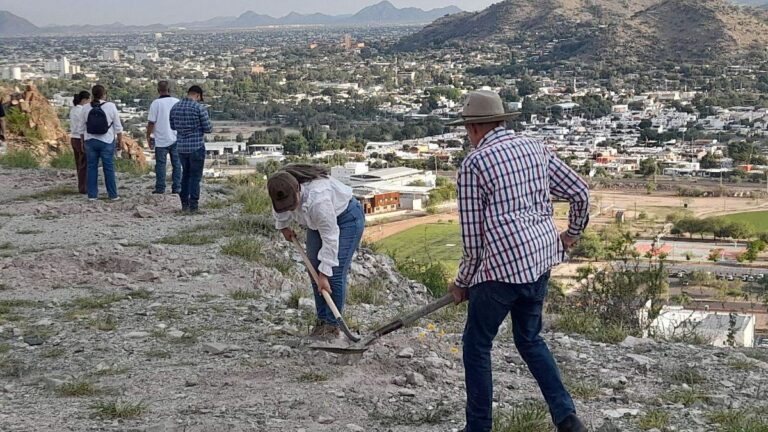 Jornada Nacional de Reforestación 2026 impulsa plantación de 13 mil árboles en Hermosillo