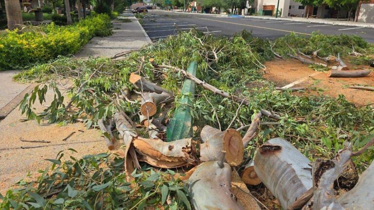 Falla en presa El Novillo y sedimentos en El Molinito afectan suministro de agua en Hermosillo Falla en presa El Novillo y sedimentos en El Molinito afectan suministro de agua en Hermosillo