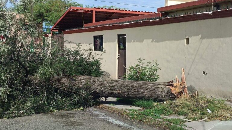 Sismo y lluvias en Sonora no causan daños ni lesionados, reporta Protección Civil