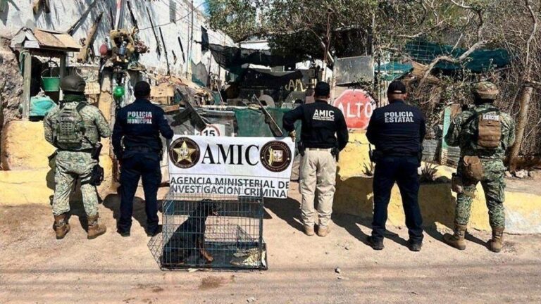 Rescatan 18 perros por presunto maltrato en Sonoyta, Sonora